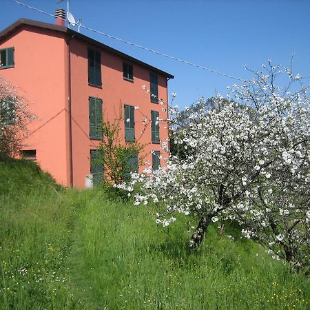 Agriturismo Casalino بيفيرينو المظهر الخارجي الصورة
