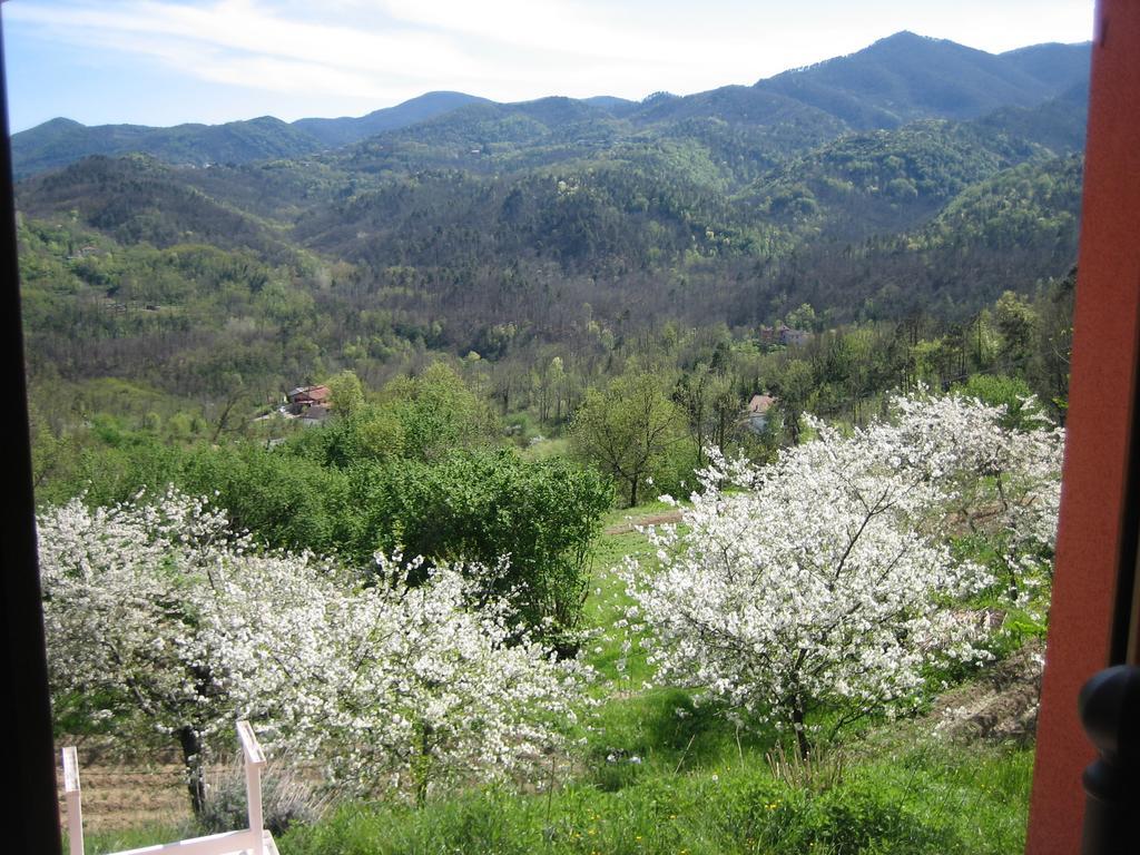 Agriturismo Casalino بيفيرينو المظهر الخارجي الصورة