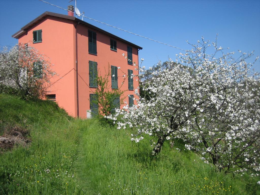 Agriturismo Casalino بيفيرينو المظهر الخارجي الصورة